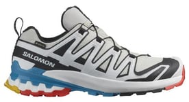 Chaussures de Trail Salomon XA Pro 3D V9 GTX Blanc Multicolore Femme