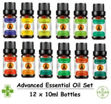 Essential Oils Advanced Pack Set (12 x 10ml) Pure Natural Fragrances Scents