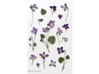 Appree Dekorativa klistermärken Blommor Violett