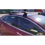 Takrackessats Twinny Load Aluminium lamplig for Tesla Model 3
