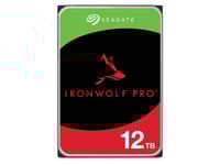 Seagate Ironwolf Pro St12000nt001, 12 Tb, 7200 Rpm, 256 Mb, 3.5", Serial Ata Iii