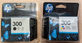 HP 300 Black & Tri-Colour Ink Cartridges Set (Genuine) (CN637EE)