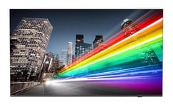 65" Philips B-Line 65BFL2214/12 LED, 4K/UHD, Android, LAN/WiFi, högtalare, 18/7-drift, DVB-C/T/T2 tuner