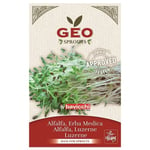 GEO Groddfrön Alfalfa 40g, 40 gram