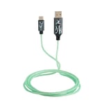 Harry Potter Official Licensed Light Up Charging Cable. Type-C To USB Cable With Flowing Light Effect, Fast Charge And Data Sync. For Smartphones, Tablets, Bluetooth Headphones, Power Banks Etc.