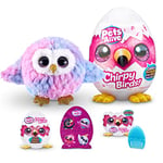 Pets Alive Chirpy Birds, Normi the Owl, Surprise Interactive Toy Pets with Electronic Speak and Repeat, Sings 2 Unique Songs, 5 Layers of Surprises, 23 cm, Ages 3+, (Owl)