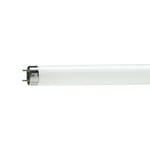 Lysrör Philips G13 T8 18W/830 590mm