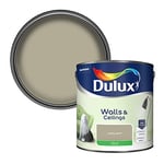 Dulux Walls & Ceilings Silk Emulsion Paint, Overtly Olive, 2.5 Litres