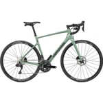 Cannondale Racer  Synapse Carbon 2 Le Jade