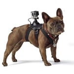 GoPro 1 - 4 Hundsele med hållare - Svart