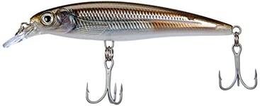 Rapala X-Rap Saltwater Lure with Two No. 3 Hooks, 1.2-1.8 m Swimming Depth, 10 cm Size, Mangrove Minnow