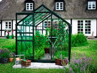 Halls Drivhus Popular 6,2 m² Grønn-3 mm herdet glass-Inkludert fundament