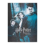 Grupo Erik - Puzzle 500 Pièces Harry Potter et le Prisonnier d'Azkaban | Puzzle Adulte et Enfant, Affiche Harry Potter