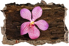 pixxp Rint 3D WD s2071 _ 92 x 62 prächtige Orchidée sur percée Murale en Bois 3D Sticker Mural, Vinyle, Multicolore, 92 x 62 x 0,02 cm