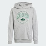 adidas VRCT Hettegenser Barn Kids