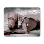 Fantasy Puppy Dog with Angel Wings Rectangle Non Slip Rubber Mousepad, Gaming Mouse Pad Mouse Mat for Office Home Woman Man Employee Boss Work