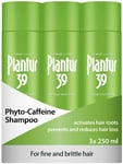 Plantur 39 Phyto-Caffeine Green Shampoo Care-Set for Fine Brittle Hair 3x 250 ml
