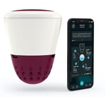 ICO Spa Salt med WiFi + Bluetooth