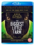 - The Biggest Little Farm Blu-ray