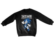 Sonic The Hedgehog Japanese Logo Kids Sweatshirt, Sweatshirt