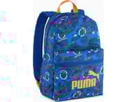 Pleack Puma Phase 091324-03