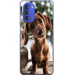Motorola Moto G51 5G Transparent Mobilskal Ung Hund