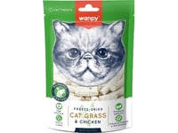 Wanpy Kot 20G Freez-Dried Cat Grass & Chicken