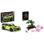 LEGO 42138 Technic Ford Mustang Shelby GT500 Set, Pull Back Drag Toy Race Car Model Building Kit & 10281 Icons Bonsai Tree Set for Adults, Plants Home Décor Set with Flowers