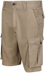 Regatta Men's Shorebay Shorts Trouser, Gold Sand, 33W (Regular)
