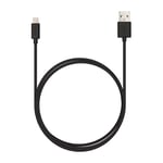 Veho Pebble Certified MFi Lightning To USB Cable | 0.2 Metre/0.7 Feet