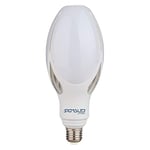Sigmaled lighting - AMPOULE LED E27 ED90 50W, lumière blanche naturelle 4000K, 5500 lumens équivalent à 350W traditionnel ou 140W basse consommation.