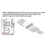 TPM 2.0 Module LPC Interface Stable High Safety Durable Material 14Pin LPC M BGS