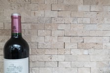 mosaik ws face brick chiaro travertine 3d 2,3x4,8x