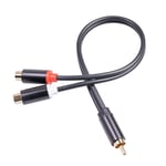 2X(RCA Male Cable to 2RCA Female o Cable 2 RCA Male Splitter Aux Cable for TV PC