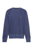 French Terry Sweatshirt Sweat-shirt Tröja Blue Ralph Lauren Kids