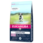 3 kg / 12 kg Eukanuba Grain Free -koiranruokaa erikoishintaan! - 3 kg Puppy Large Breed lohi