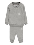 Adicolor Crew Set Sport Sweatsuits Grey Adidas Originals
