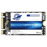 Dogfish SSD M.2 2242 500Go Ngff Ordinateurs De Bureau à l'intérieur De l'actionneur à SolideDe Haute Performance De Lecteur De Disque Dur Comprend Un SSD 120Go 240Go 250Go 480Go(500Go, M.2 2242)