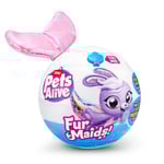 Pets Alive - Fur maids (9555)