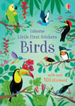 Jane Bingham - Little First Stickers Birds Bok