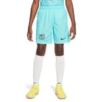 Nike Unisex Kids Shorts FCB Y NK DF Stad Short 3R, Light Aqua/Black, DX9855-486, S