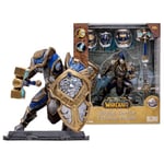 McFarlane Toys World of Warcraft 6 Inches - Human: Paladin/Warrior Action Figure - Incredibly Detailed 1:12 Scale Figure Based on the Global Phenomenon