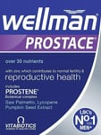 Wellman Vitabiotics Prostace - 60 Tablets x 4