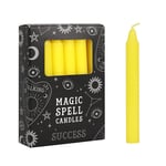 RAJX Magic Spell Candles, Protection Candle To Attract Success,Ideal for Candle Magic Rituals & Ceremonies, Pack of 12 (Yellow)