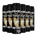 AXE Déodorant Homme Spray Gold, 48h non-stop frais, Parfum Bois de Oud et Vanille Noire (Lot de 6x200ml)