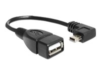 DeLOCK - USB-kabel - mini-USB typ B (han) till USB (hun) - USB 2.0 OTG - 16 cm