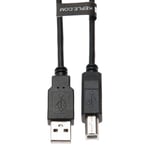 Keple USB Printer/Scaner Cable Compatible with Canon Pixma MX495 / MX535 / MX925 / TS5050 / TS5053 / TS6050 / TS8050 / TS9050 / TS9055 USB A to B Male (3m / 10ft)