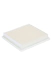 Bosch Flat Peated Filter (for Bosch AdvancedVac 18V-8, Accessories Vacuum Cleaner)