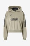 adidas Sport Performance - Huvtröja W Tiro Hoodie - Beige