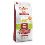 Calibra Life Junior Large Breed med färskt nötkött - Ekonomipack: 2 x 12 kg